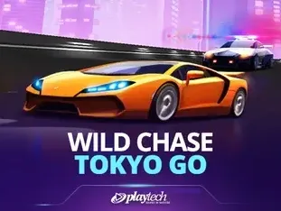 Wild Chase Tokyo Go icon